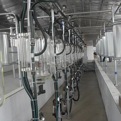 Harga bagus Peternakan Susu Sapi Kambing Penyu Salon Kaca Susu Aliran Meter De Laval on line